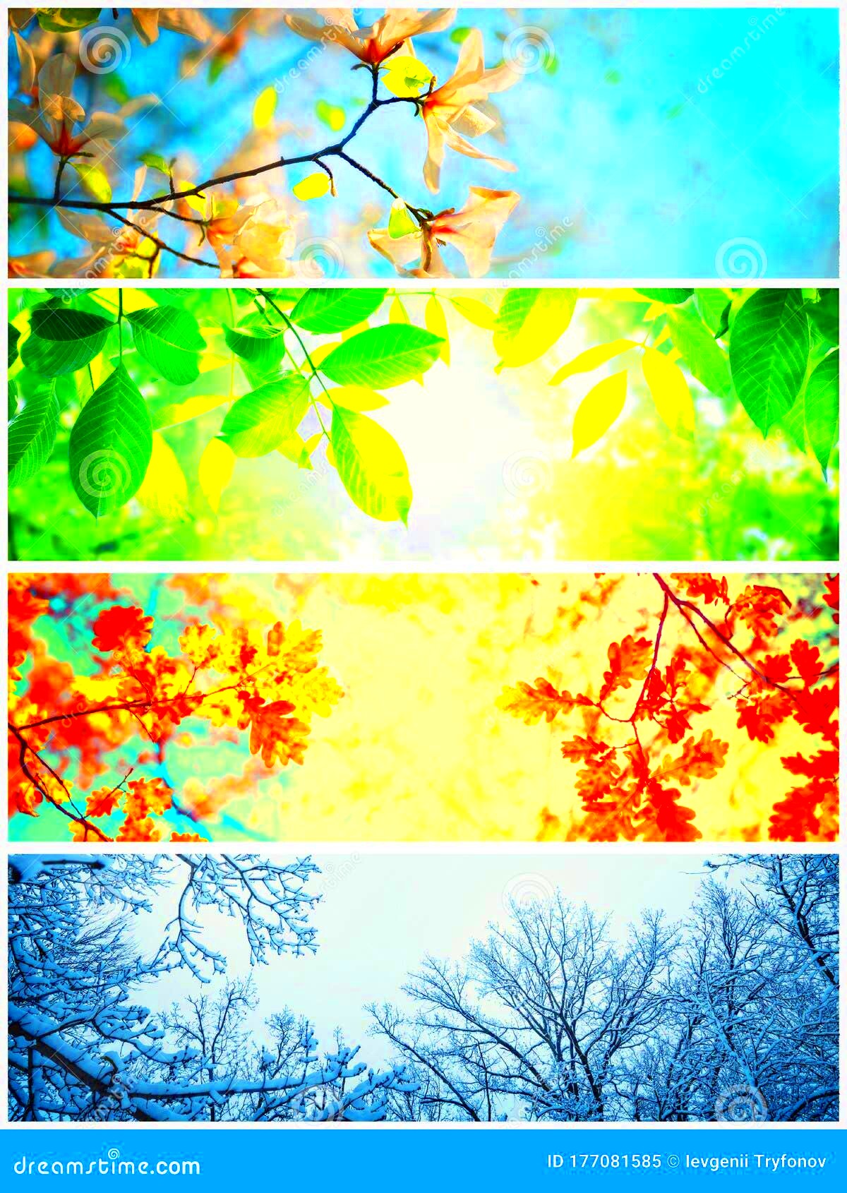 Four Seasons a Pictures that Shows Four Different Pictures 