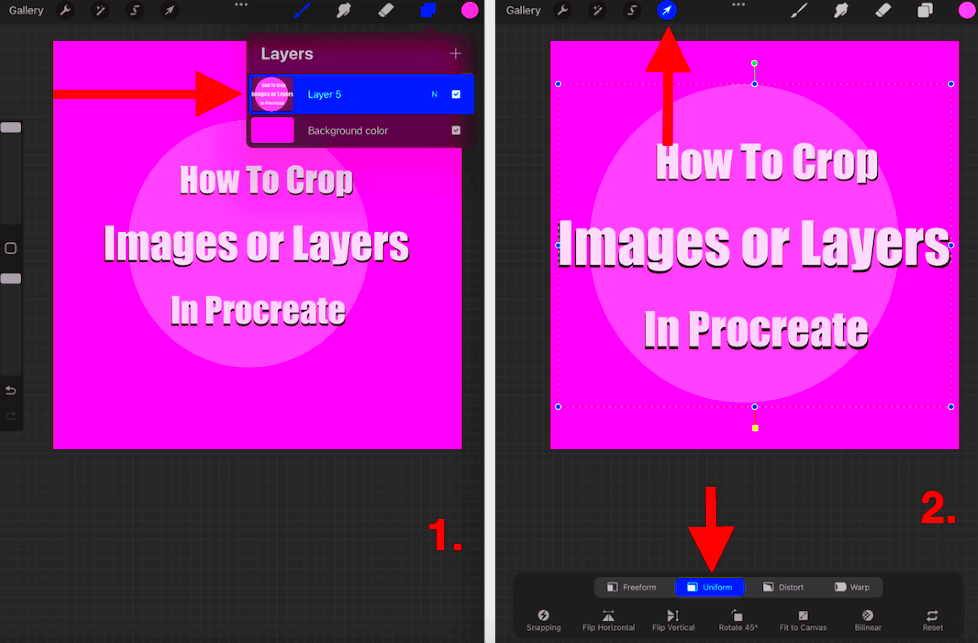 How to Crop Canvas Images or Layers in Procreate