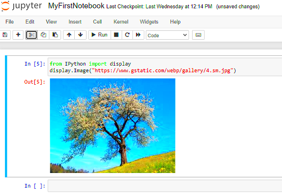 How to embed image in jupyter notebook from a local file or web resource