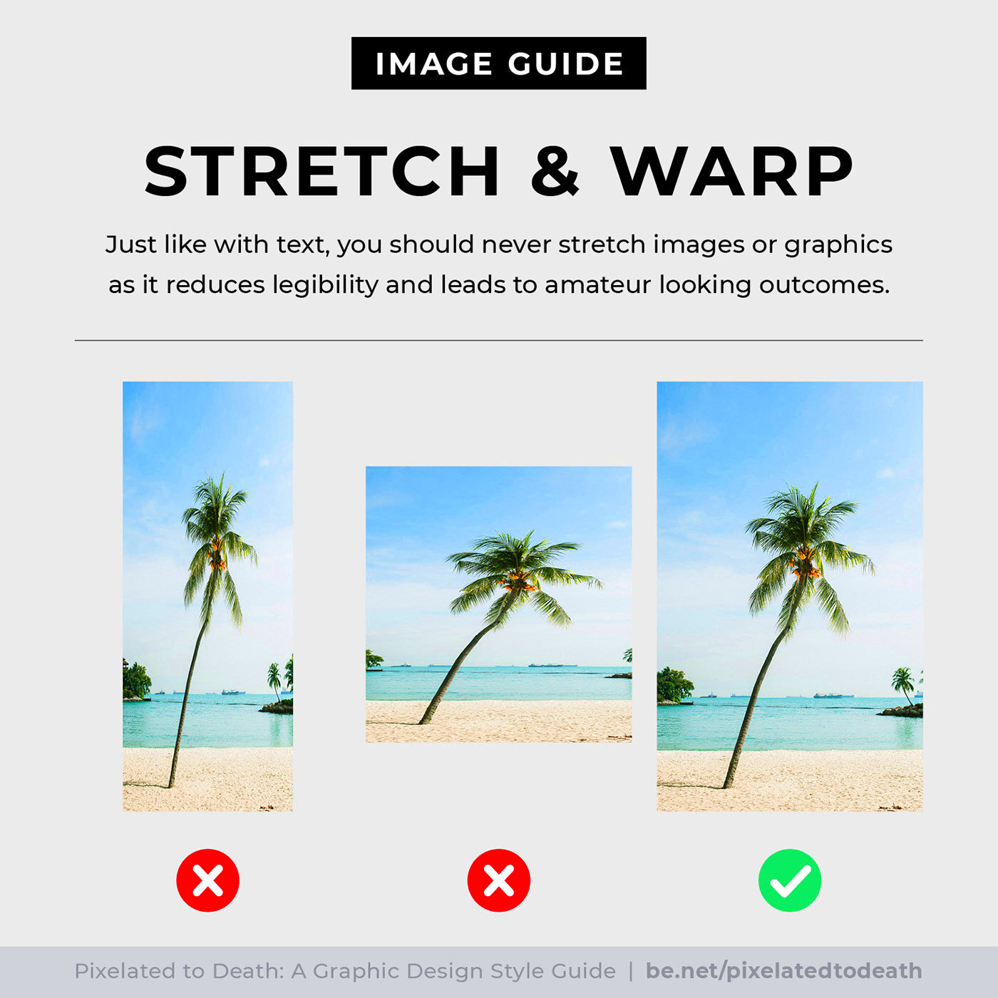 Image Guide Behance