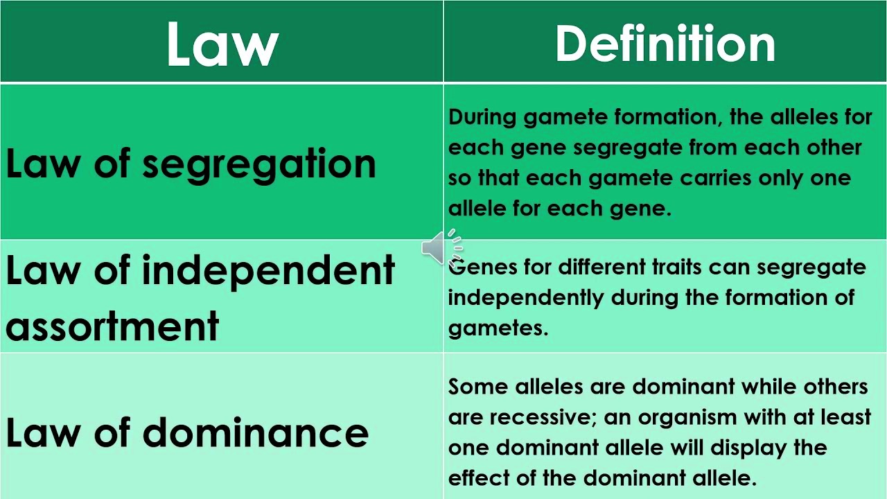 Mendels Law Of Inheritance