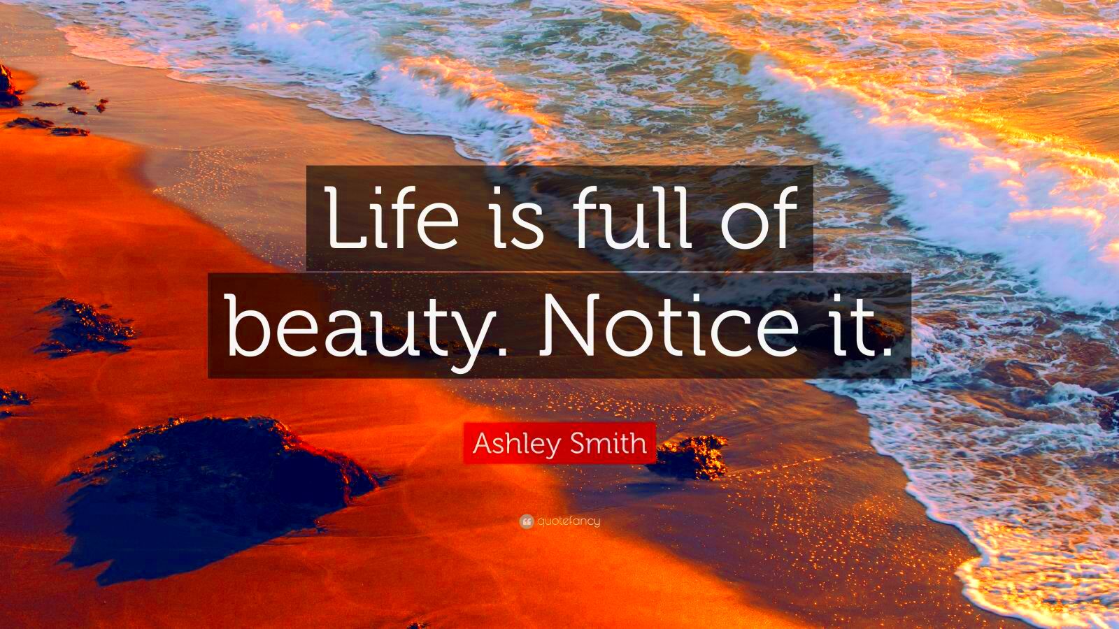 Ashley Smith Quote Life is full of beauty Notice it 19 wallpapers 