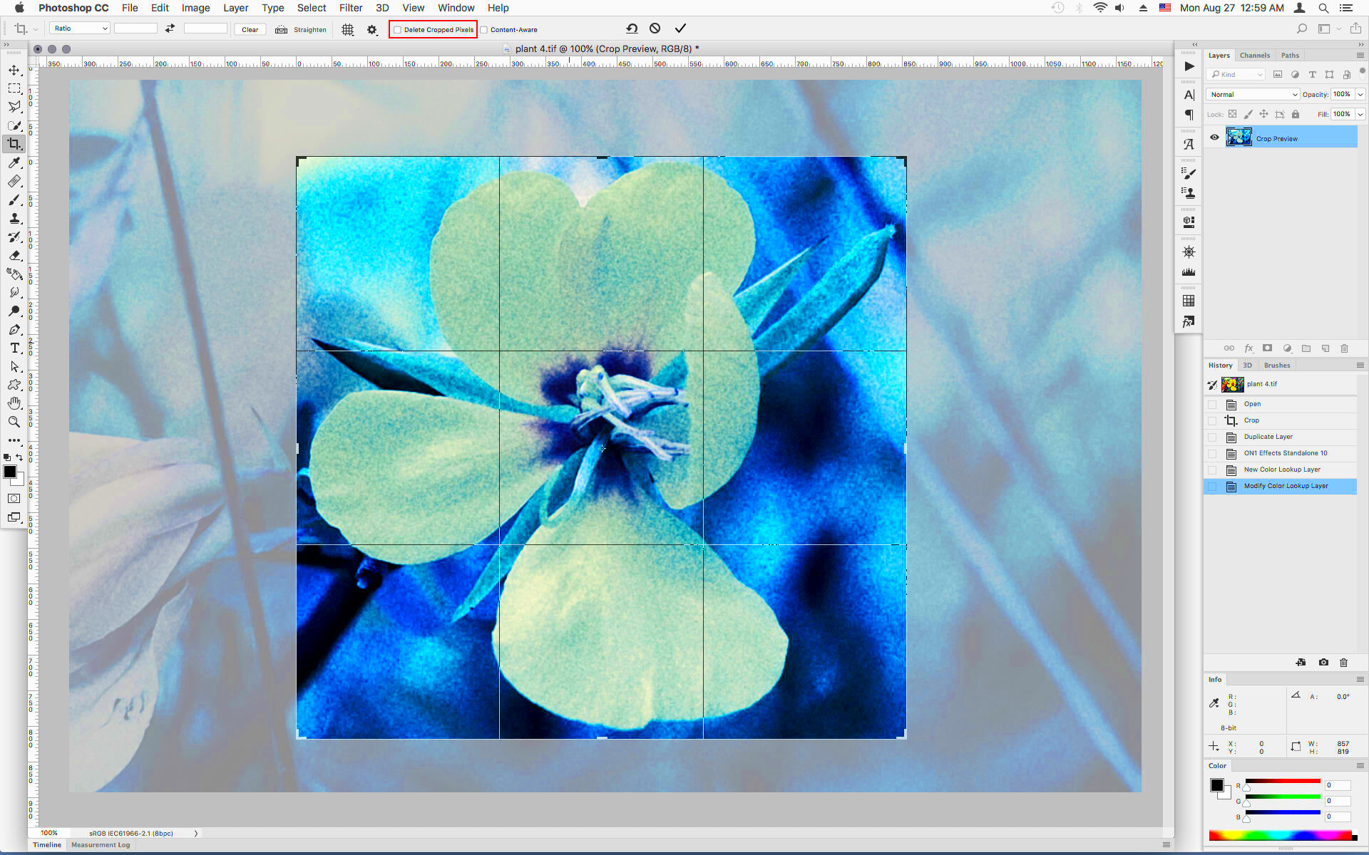 Solved Restoring cropped image  Adobe Community  10039027