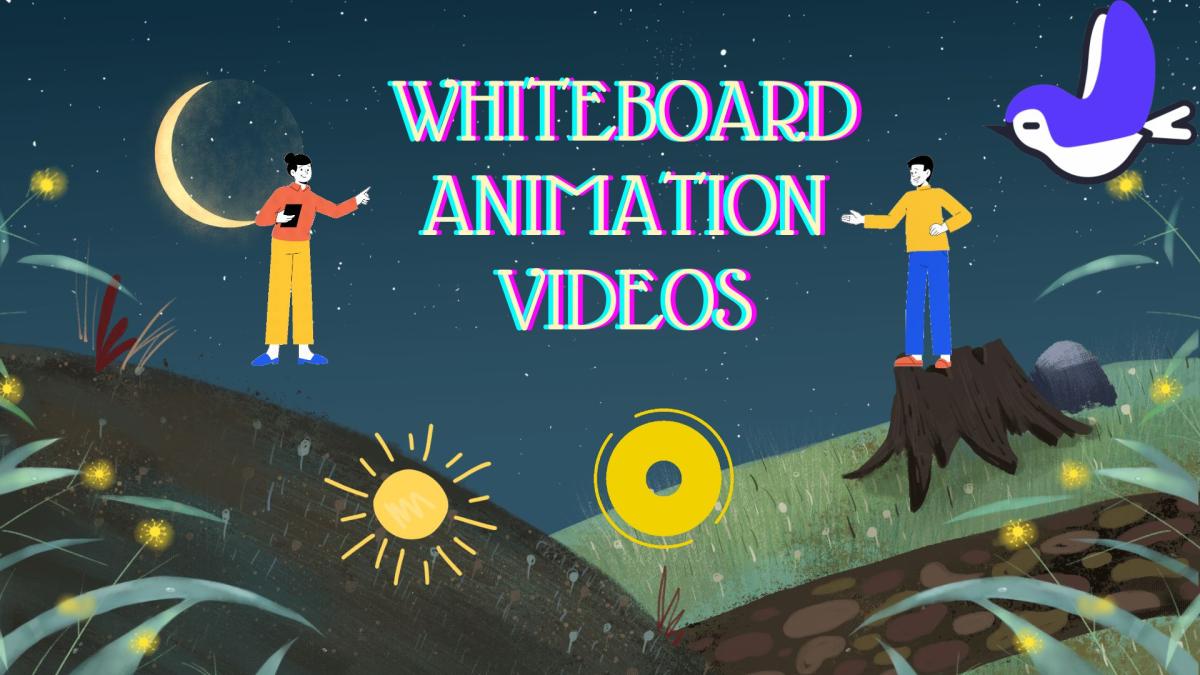 I Will Create Doodle Whiteboard Animation and Whiteboard Sales Explainer Video