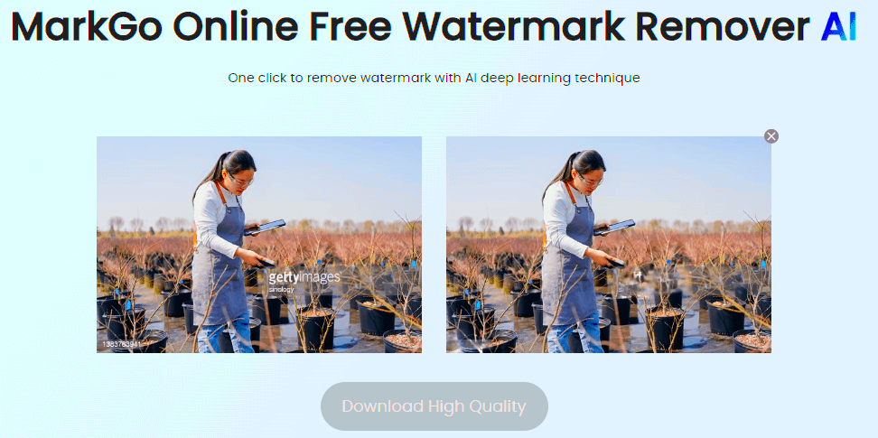 How to Remove Getty Image Watermark for Free 5 Easy Ways