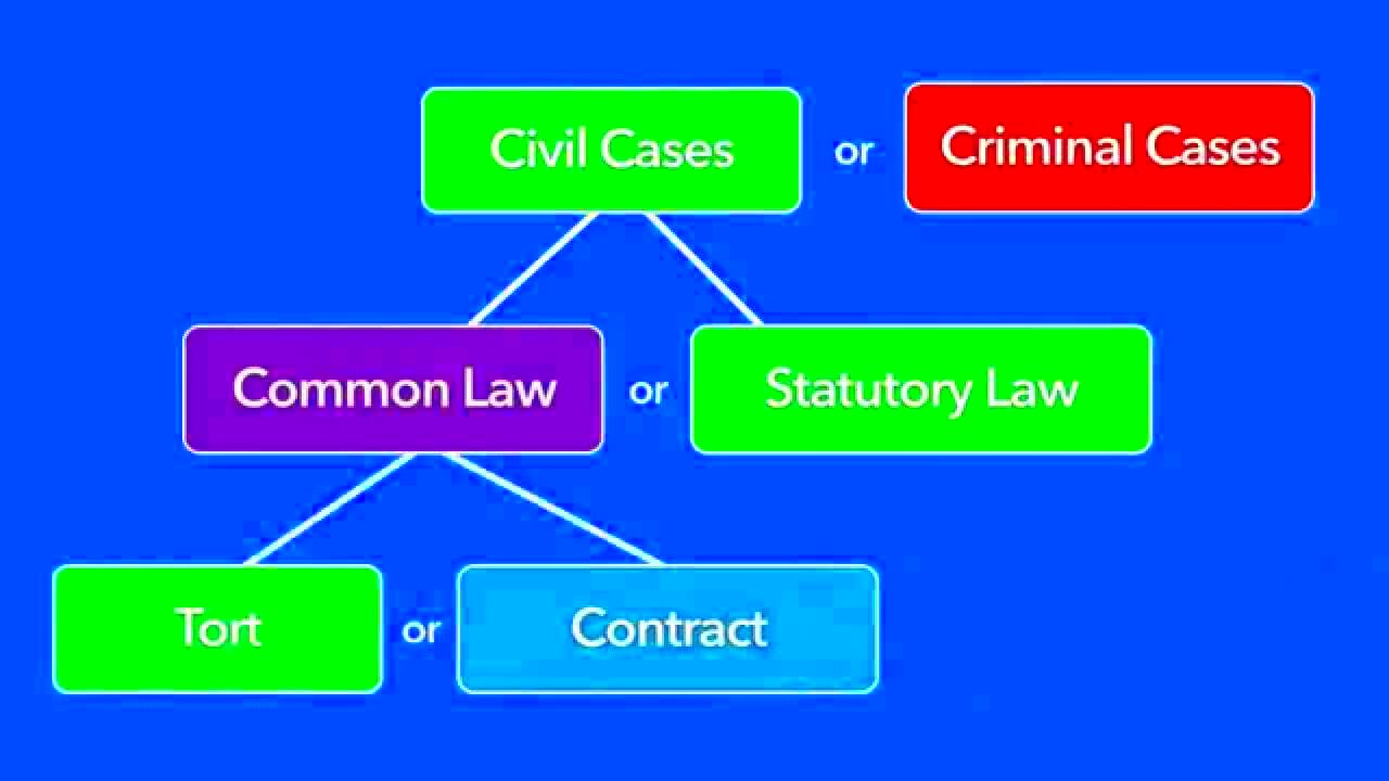 What Is Tort Law Types Example And More The Law Cases