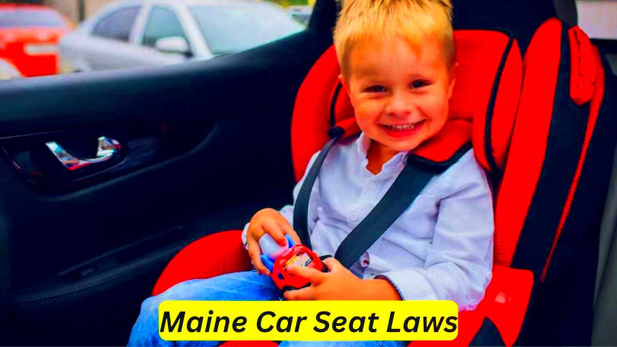 Maine Car Seat Laws Know The Essential Regulations by Car 