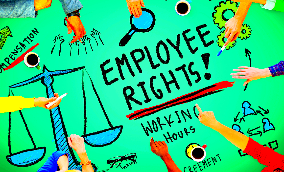 Top 20 employment law facts you need to know Startup Donut