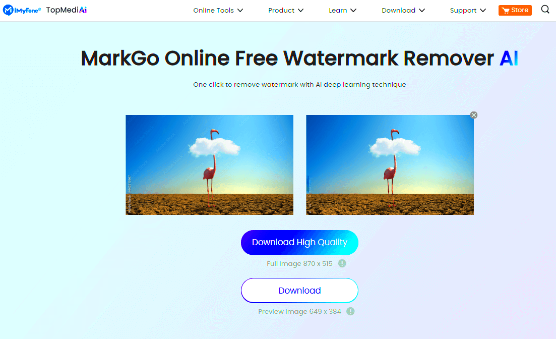 EasyHow to Remove Adobe Stock Watermark Online Offline