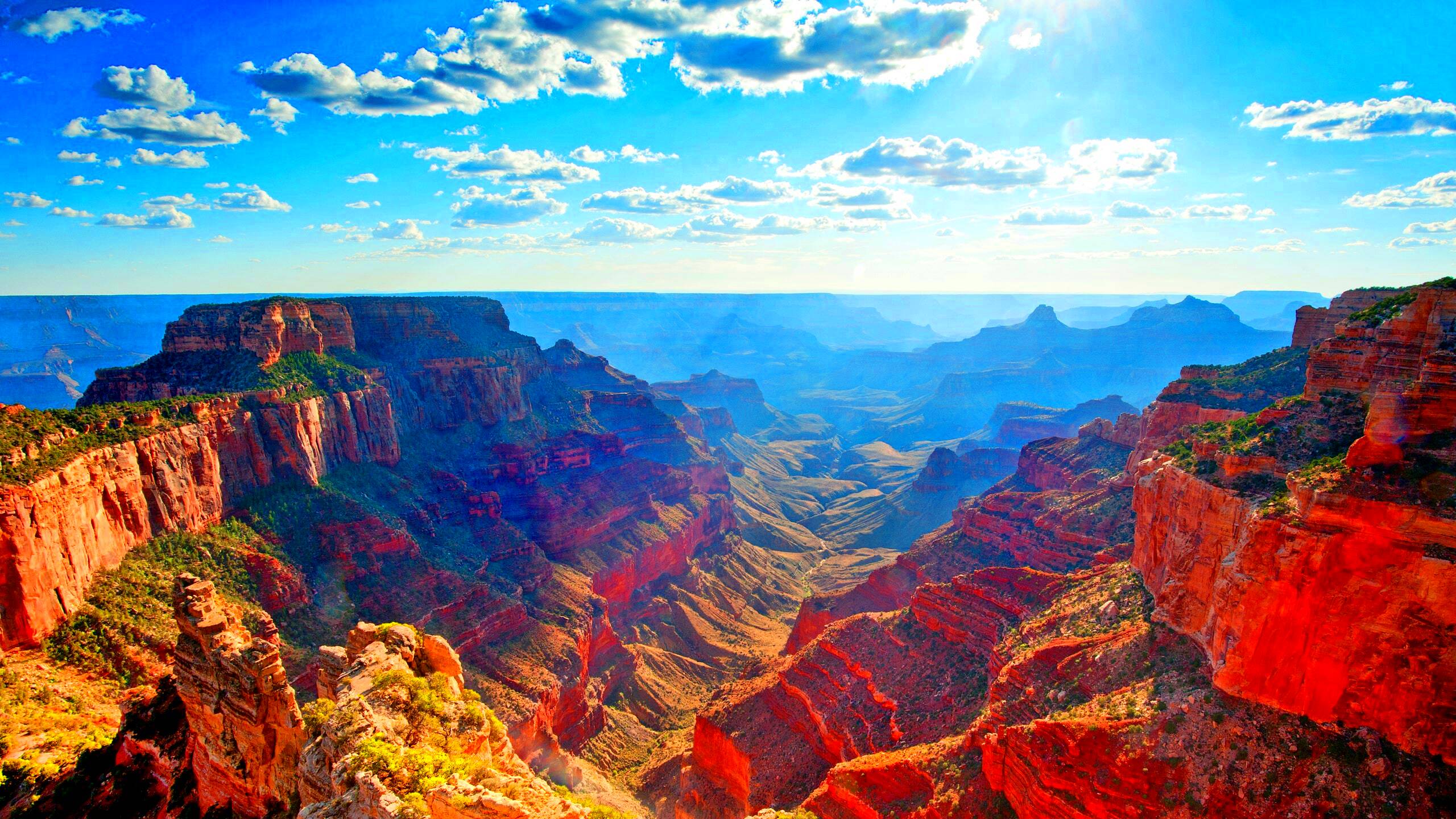 Majority of Americans Dont Know Where the Grand Canyon Is Cond Nast 