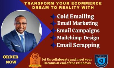 I Will Do Email Blast, Email Leads, Email Marketing, Custom Mailchimp Email Service