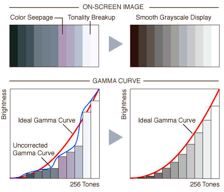 Understanding Monitor Gamma  Gamma Correction  EIZO