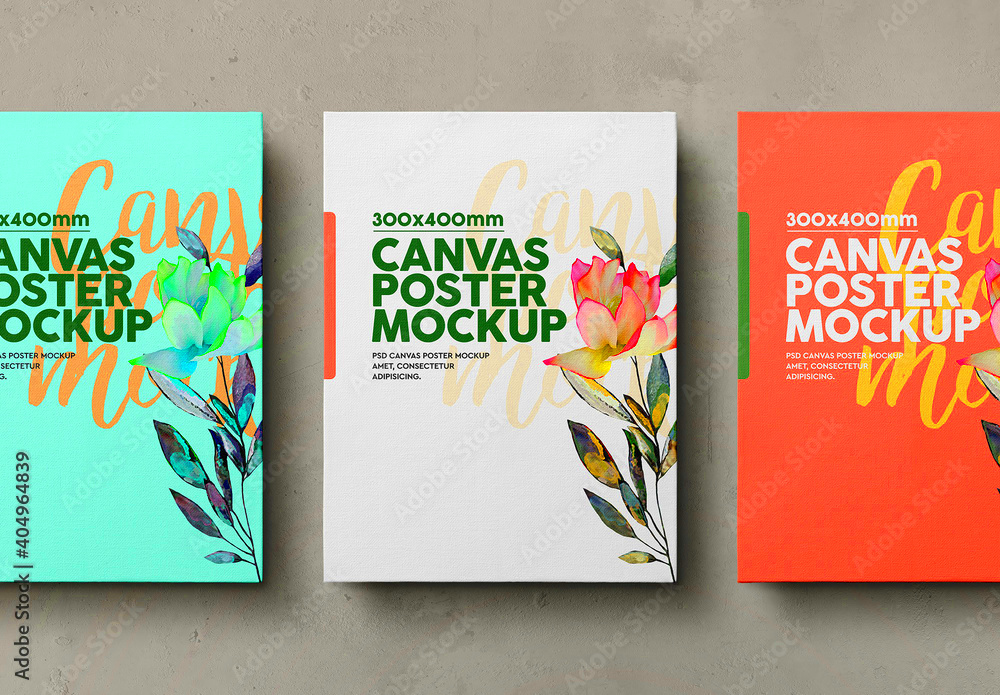 Canvas Mockup Set Stock Template Adobe Stock