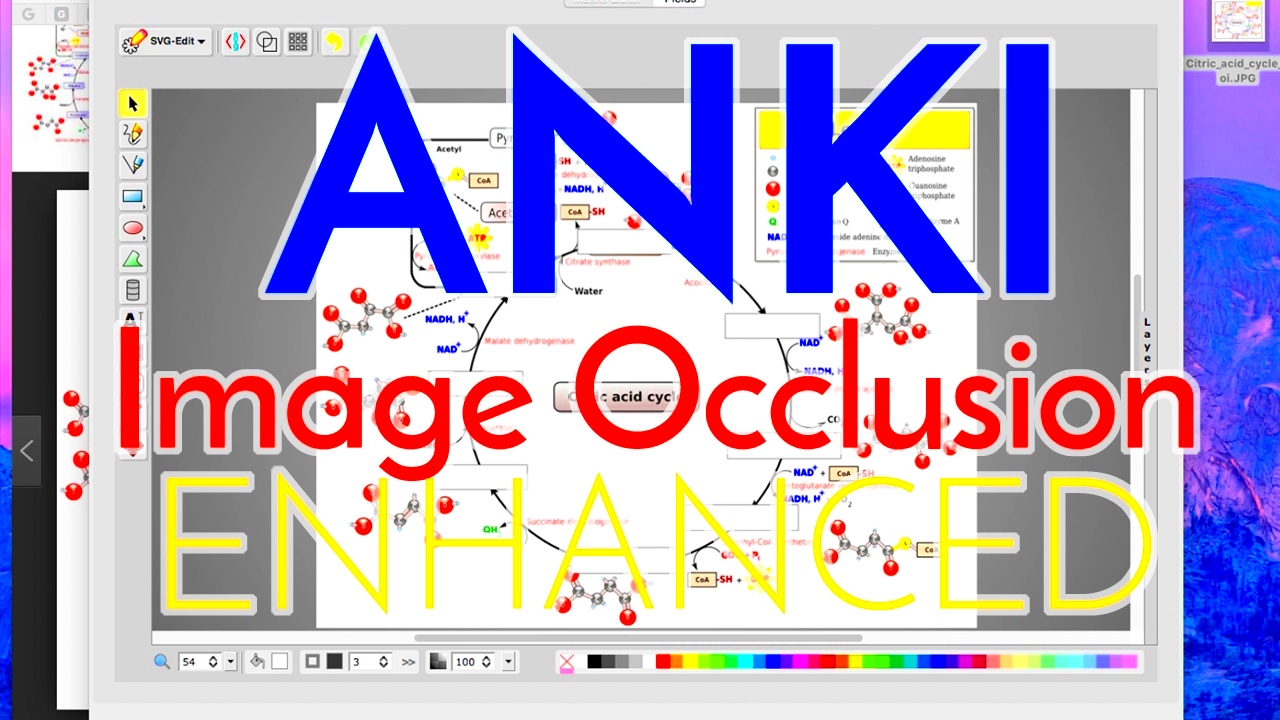 How to Use Anki Effectively  Image Occlusion Enhanced Part 4  YouTube