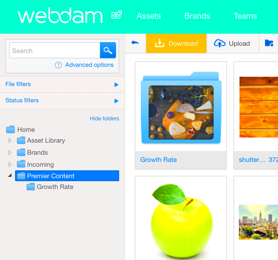 Shutterstock Search Premier Integration DAMsuccess by Webdam