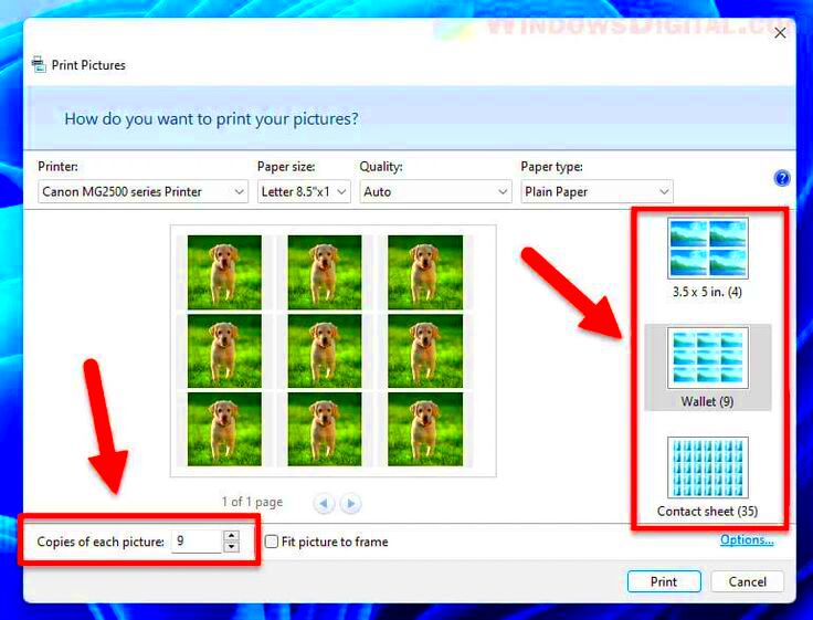 How to Print Multiple Photos on One Page in Windows 11 in 2022 