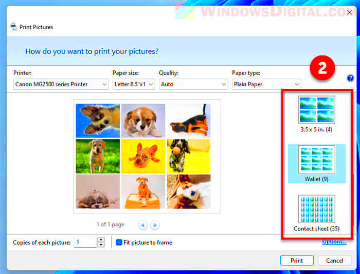 How to Print Multiple Photos on One Page in Windows 11