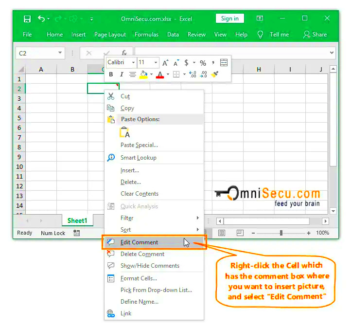 How to insert a picture inside Excel Cell Comment box