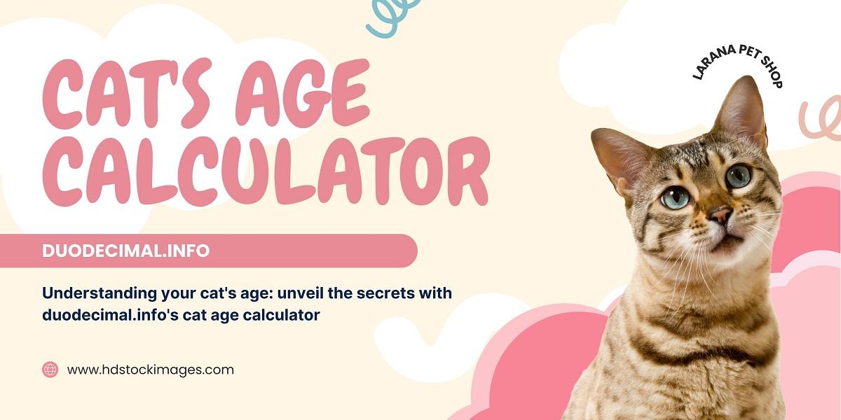 Understanding your cat’s age: unveil the secrets with duodecimal.info’s cat age calculator