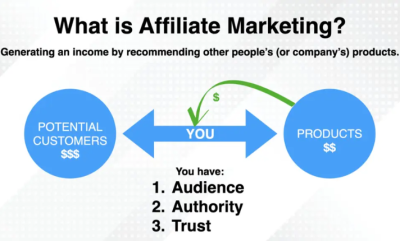 I Will Launch and Manage Your Affiliate Program on ShareASale