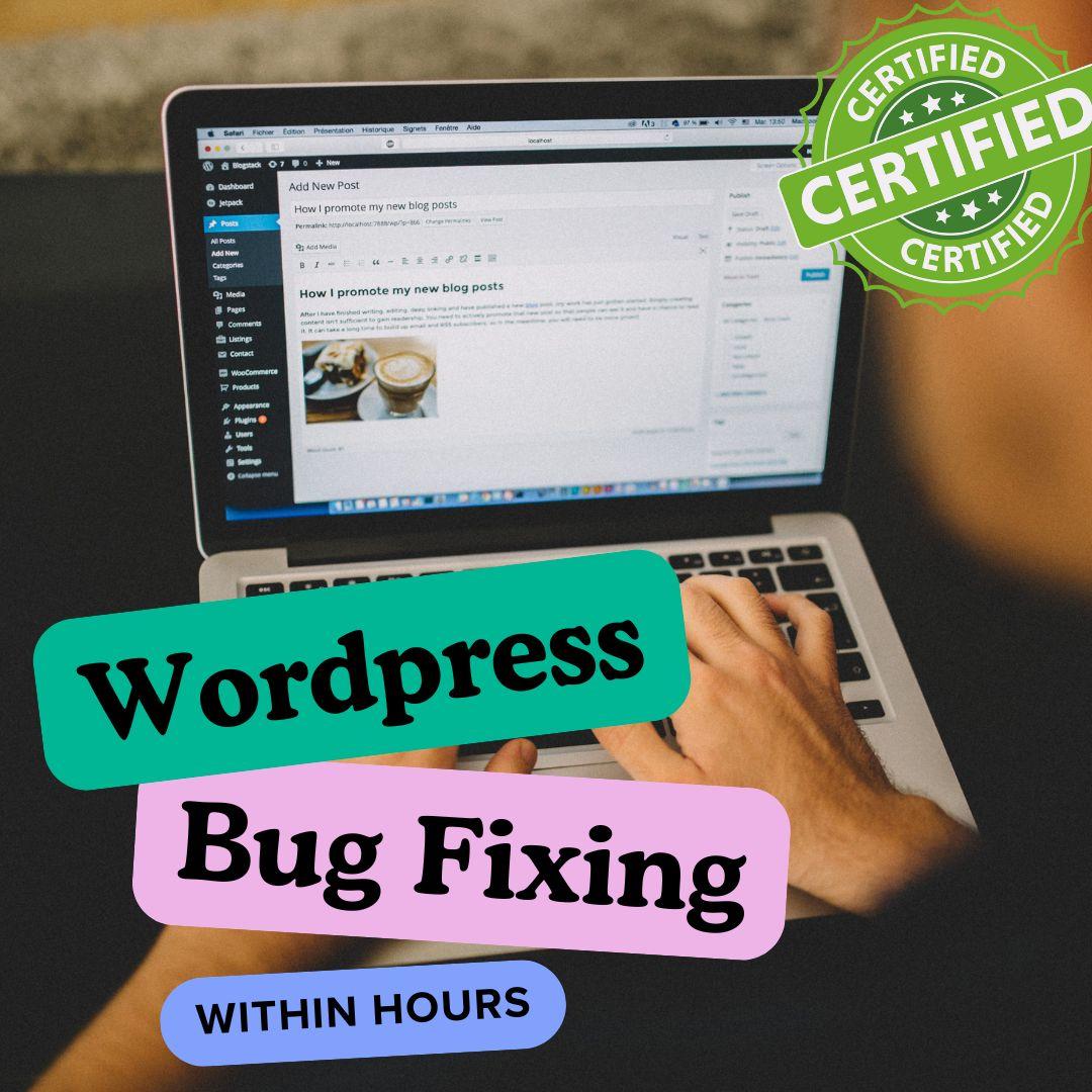 I Will Fix Your WordPress Issue Within Hours