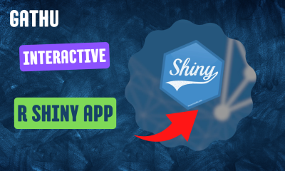 Expert R Shiny App Development Services