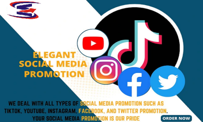 I will do tiktok promotion, instagram, twitter, linkdin, fb, music with organic growth