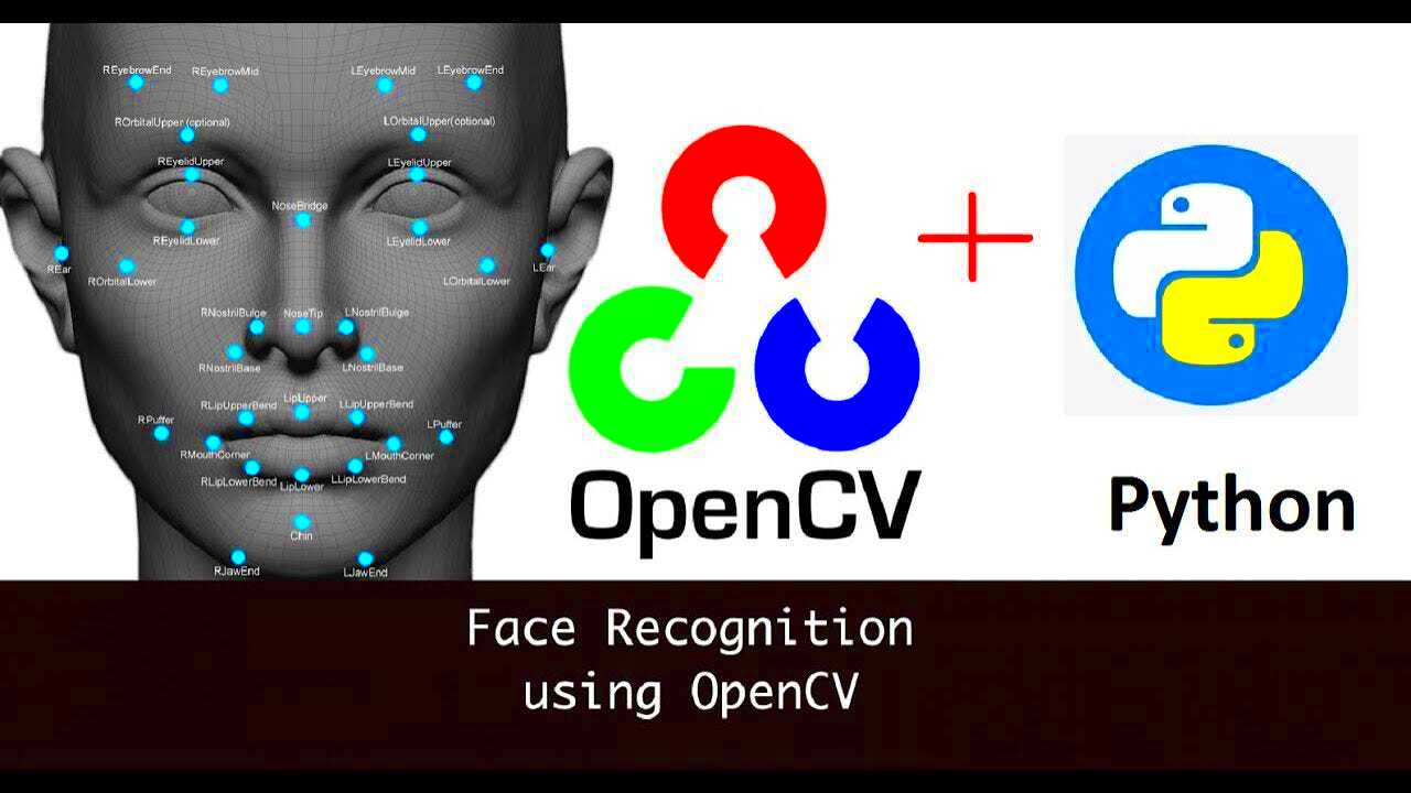 Discover the Secrets of AI Image Recognition Master Python and OpenCV 