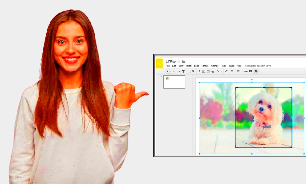 How to Mask an Image in Google Slides  Expert Graphic International