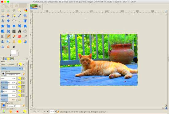 How to Resize Images Using the Gimp  Simple Help