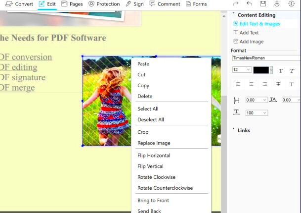 Simple Guide on How to Edit Image in PDF