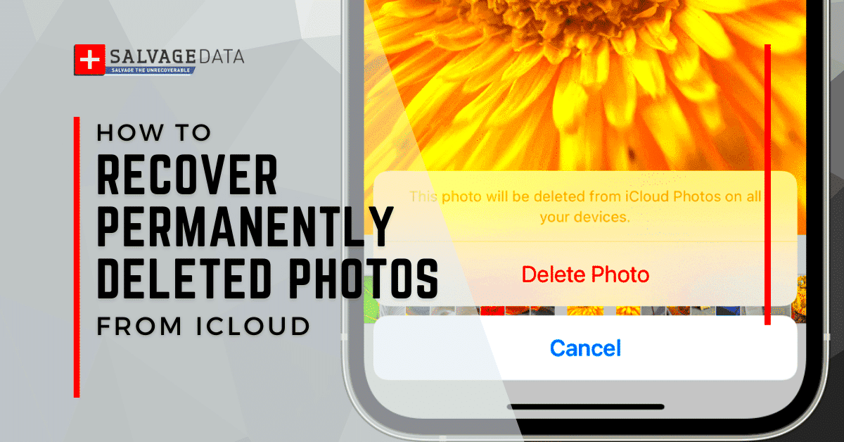 How to Recover Permanently Deleted Photos from iCloud  SalvageData