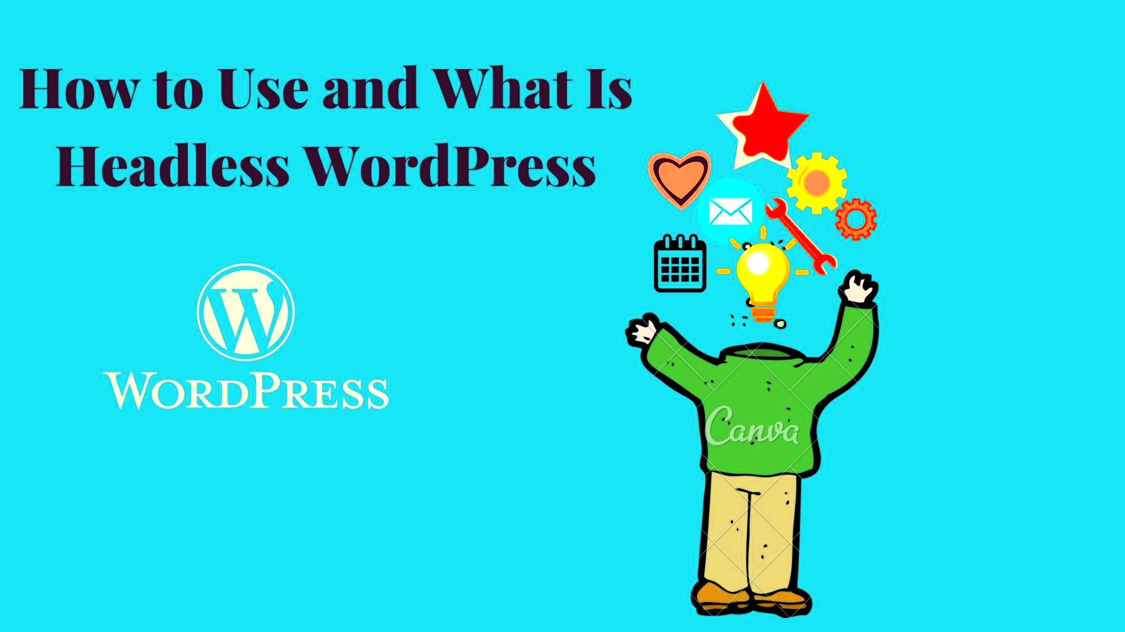 How to Use and What Is Headless WordPress InsightCrew