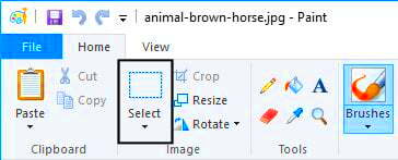 How to crop an image using Microsoft Paint  The Training Lady