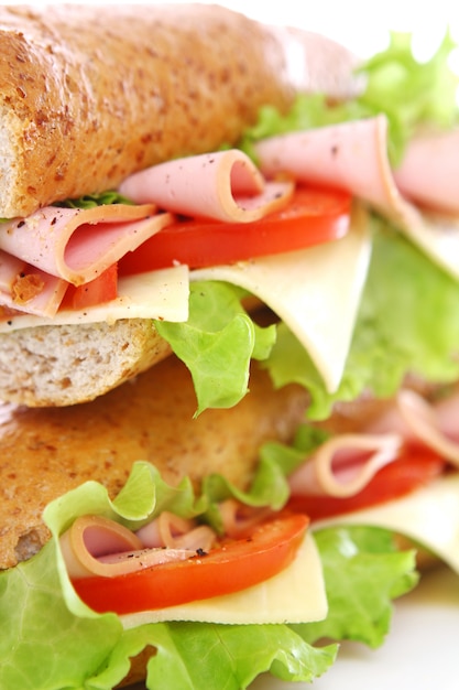 Delicious Fresh Sandwich – Free Download