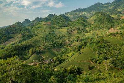 High Angle Shot of a Scenic Landscape with Green Trees and Mountains | Free Stock Photo for Download