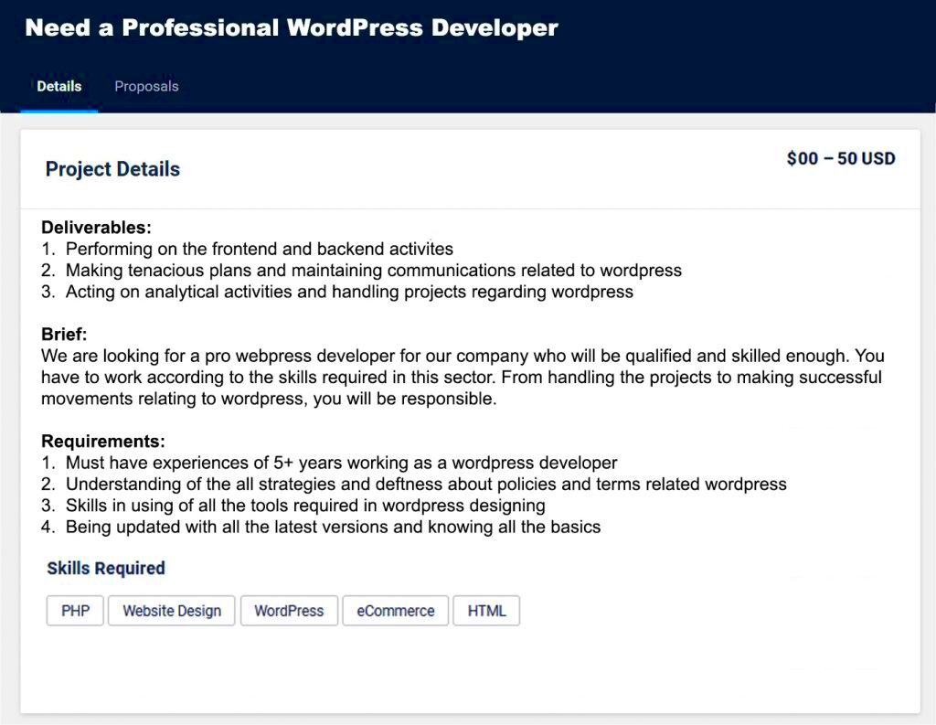 Freelancer Proposal Sample for WordPress Developer