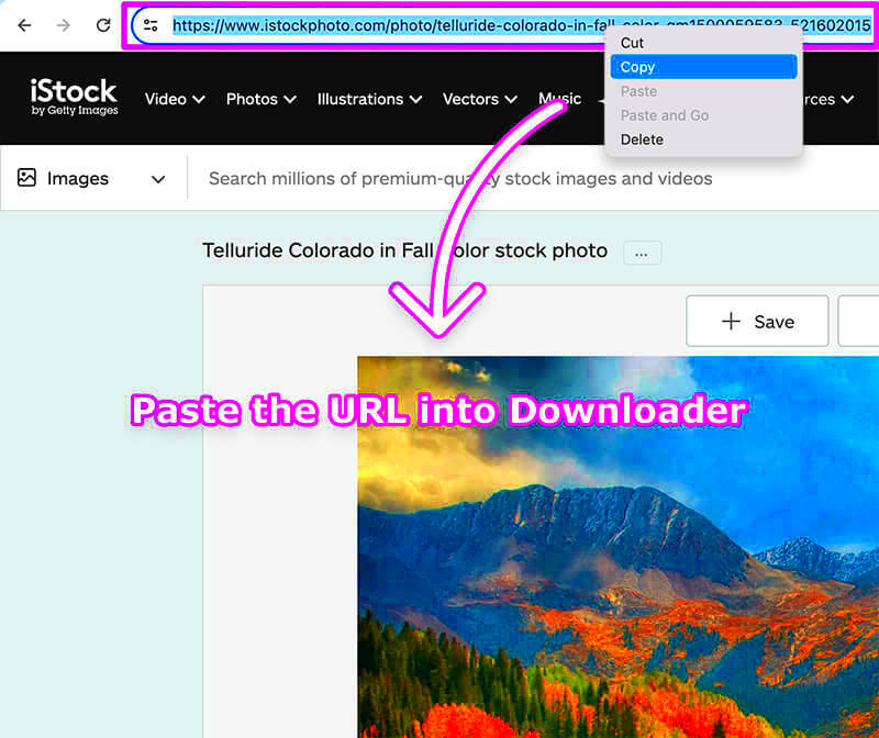 iStockphoto Downloader  Online Tool for HD Image Download Without 