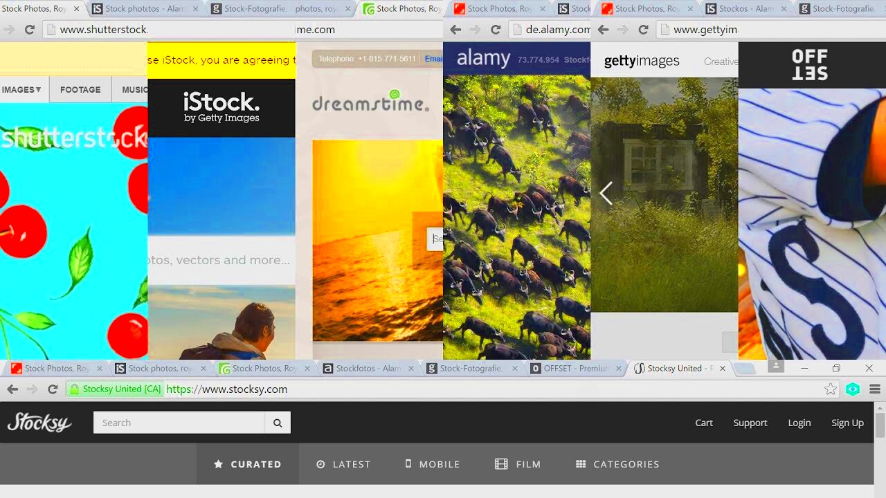 shutterstock vs istockphoto vs dreamstime vs alamy vs gettyimages vs 