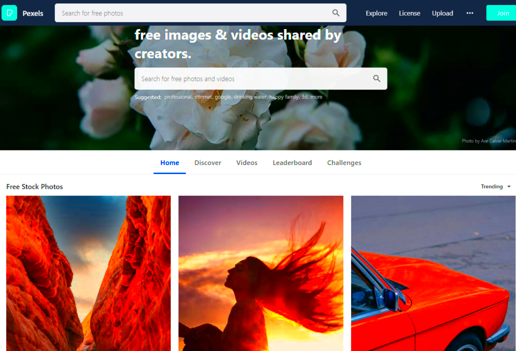 How To Create A Website Like Pexels Shutterstock Pixabay Free No