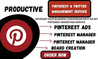 I Will Be Your Pinterest Marketing Manager to Pin Ads for Shopify and Etsy Product Promotion