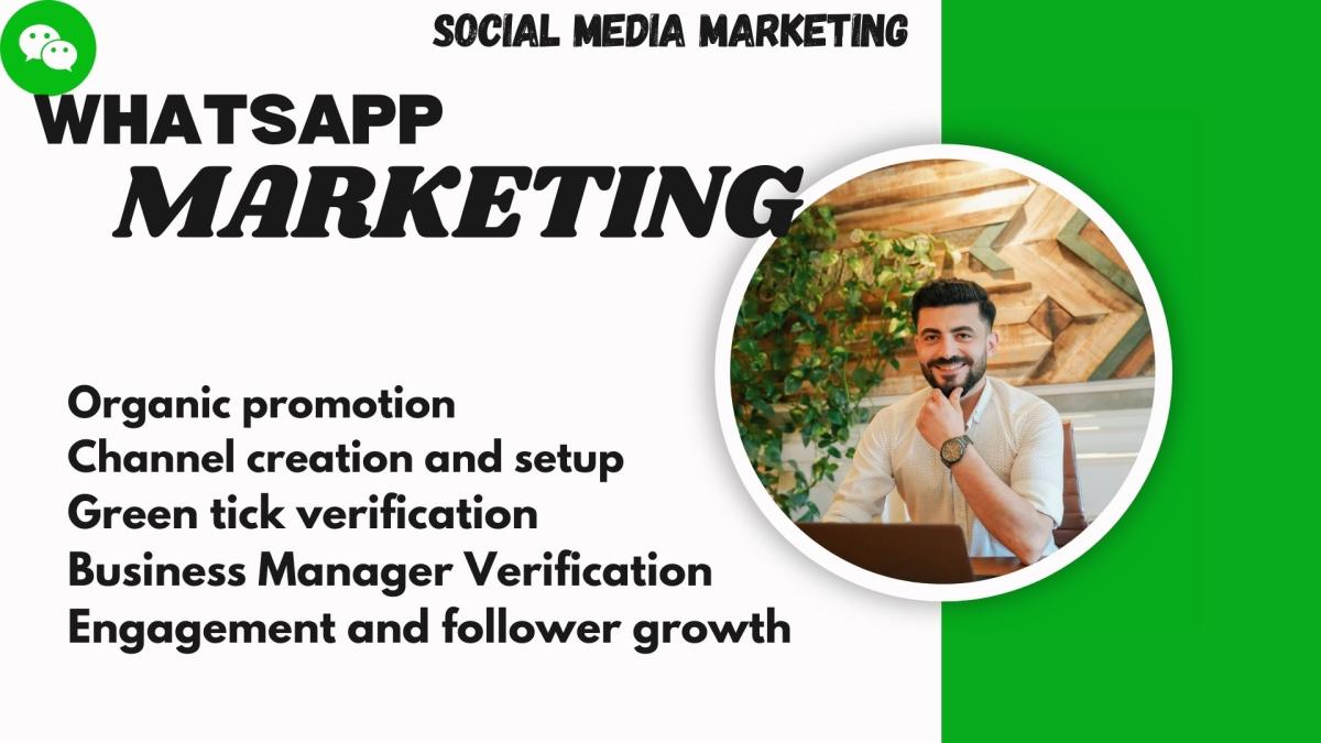 I Will Do WhatsApp Organic API Marketing Promotion and Send Bulk Messages