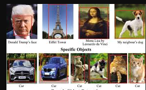 Expert Image Classification, YOLO Object Detection, Image Detection, and Image Recognition Services