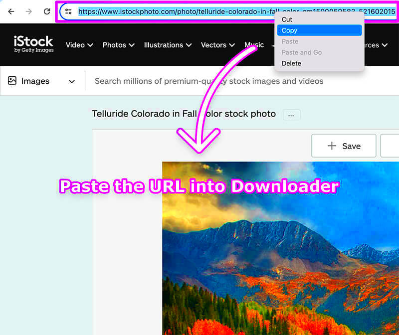 iStockphoto Downloader Online Tool for HD Image Download Without