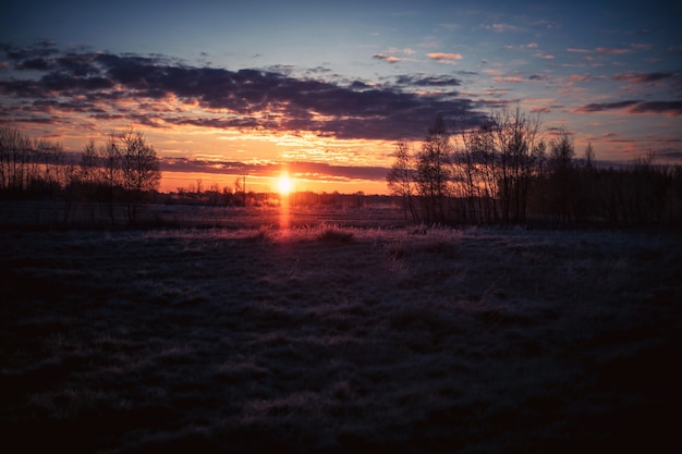 Beautiful Grass-Covered Field and Trees at Sunset Under a Cloudy Sky – Free Stock Photo, Download for Free