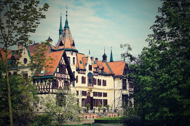 Beautiful Old Castle Surrounded by Trees – Free Stock Photo for Download