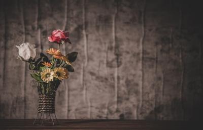 Beautiful Still Life with Flower Vases – Free Download