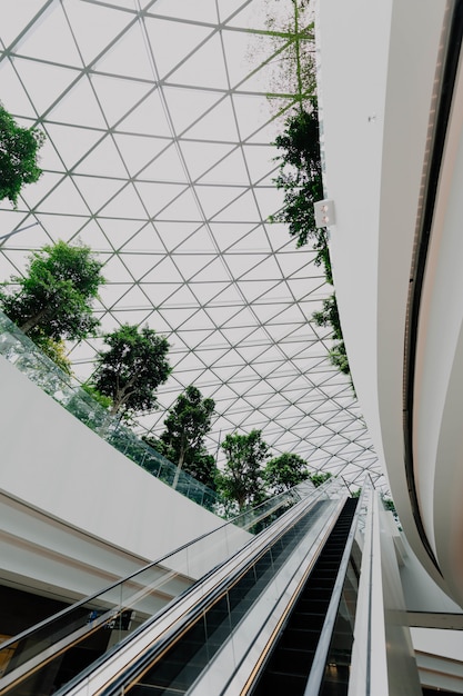 Airport Interior Featuring Stairs – Download Free Stock Photo