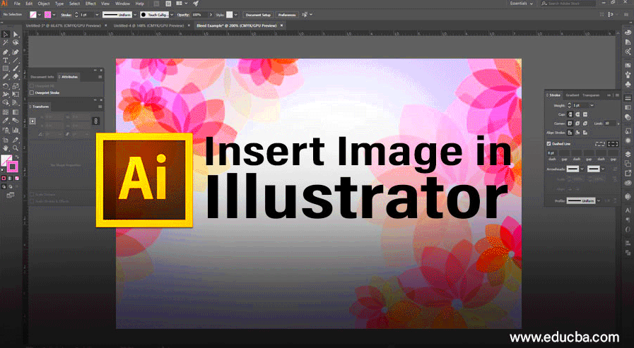 Insert Image in Illustrator How to Insert or Import Images in