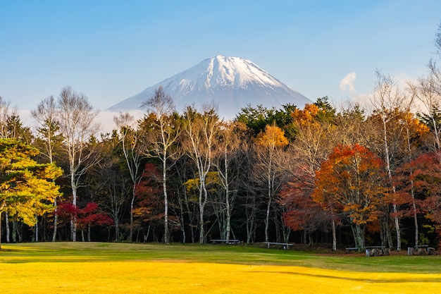 Stunning Mountain Fuji Landscape – Free to Download